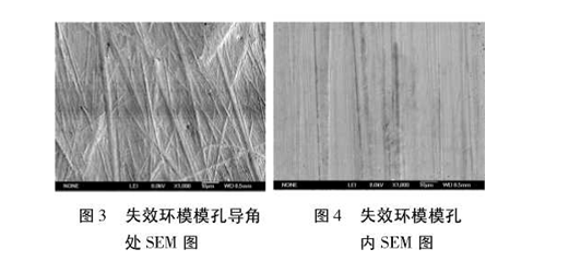 失效环模摸孔SEM图